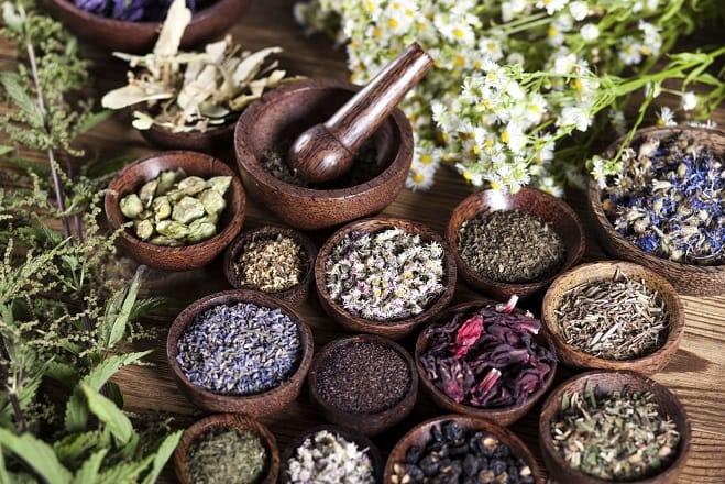 Plantes médicinales: Le Maroc à la 2e place mondiale