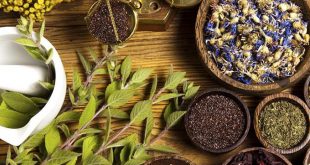 Plantes aromatiques et médicinales : Une nouvelle unité de valorisation à M’diq-Fnideq