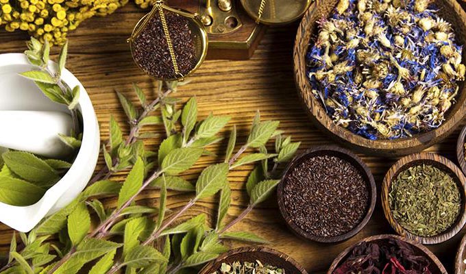 L&rsquo;Égypte exporte 55 millions de dollars de plantes médicinales et d&rsquo;herbes
