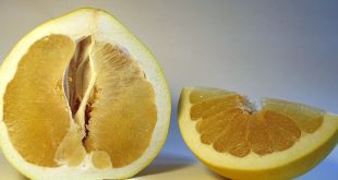 Le marché mondial du Pomelo décrypté