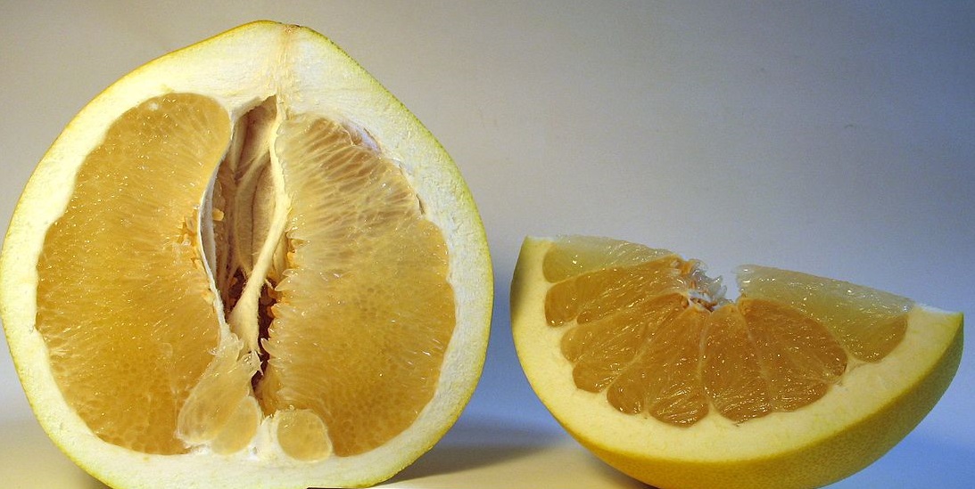 Espagne : Le Pomelo est en souffrance