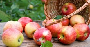 Pommes: Les quotas liés à l'importation des pommes au cours de l'année 2019/2020 fixés
