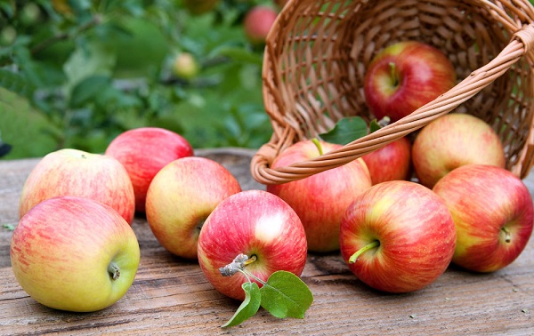Les quotas liés à l&rsquo;importation des pommes au cours de l&rsquo;année 2019/2020 fixés