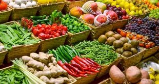 Tanger-Tétouan-Al-Hoceima-770.000-tonnes-de-légumes-pour-cette-saison-agricole