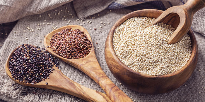 Quinoa : La production atteint 35 tonnes à Rehamna et Youssoufia