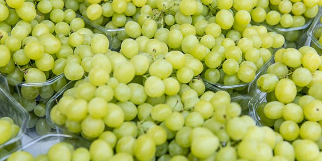 Le Danemark retire de ses marchés les raisins d'Égypte avec du chlorpyrifos