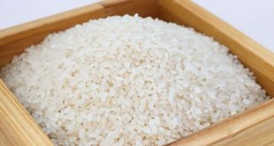 Maroc : les riziculteurs protestent contre les importations massives de riz