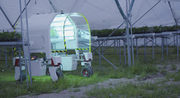 Les robots remplaceront les travailleurs saisonniers dans les champs