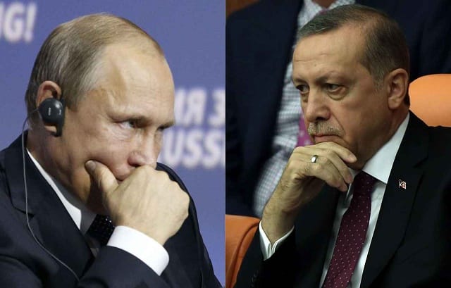 Les agrumes de Turquie autorisées à l&rsquo;importation en Russie