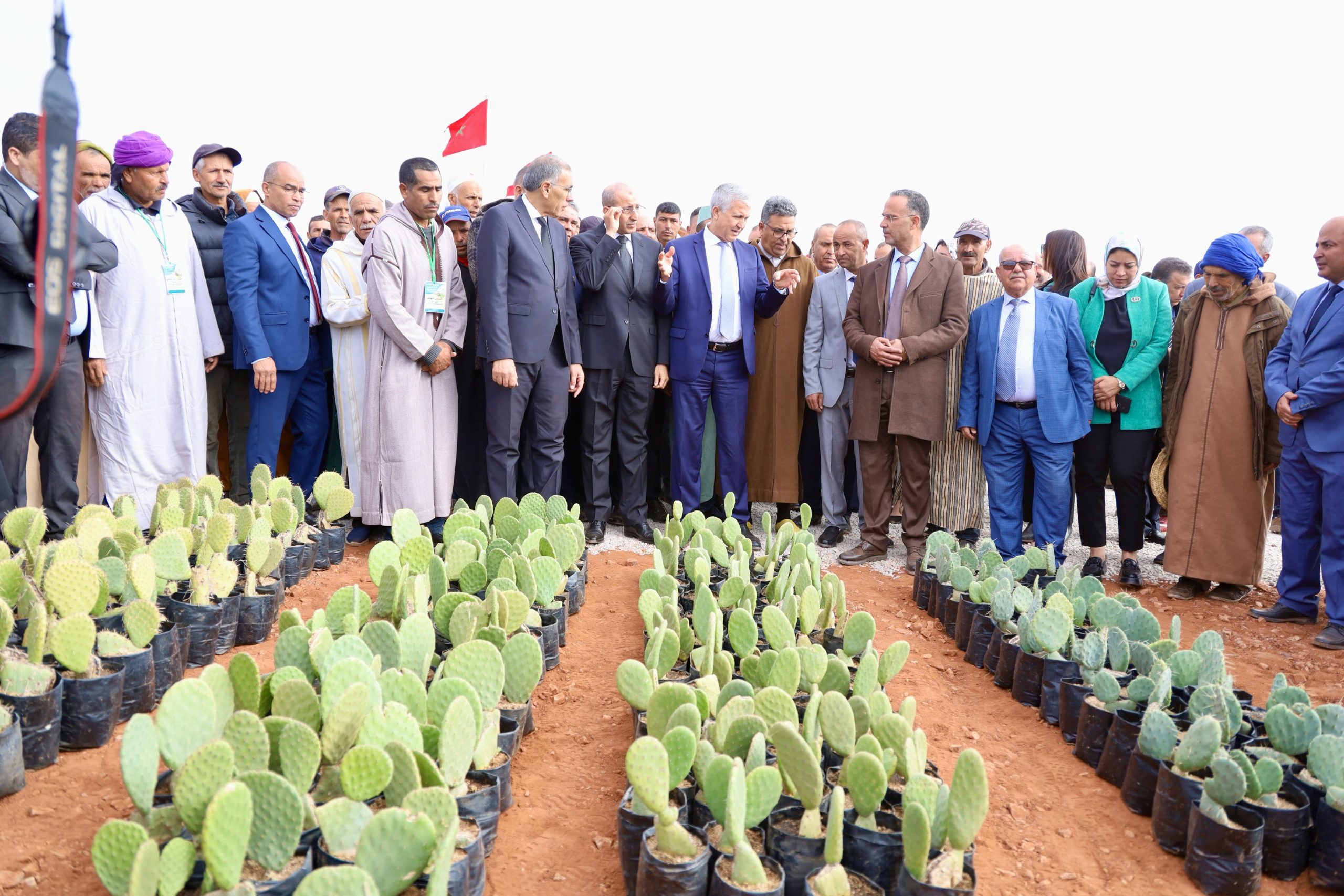 جهة مراكش-اسفي: إطلاق مشاريع للفلاحة التضامنية في إطار استراتيجية الجيل الأخضر