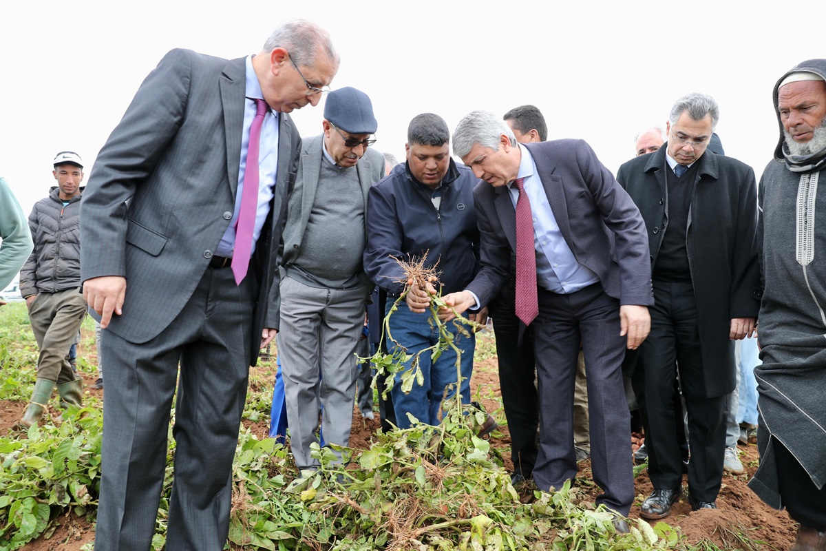 Tanger-Tétouan-Al Hoceima : Des chantiers stratégiques visités par Sadiki