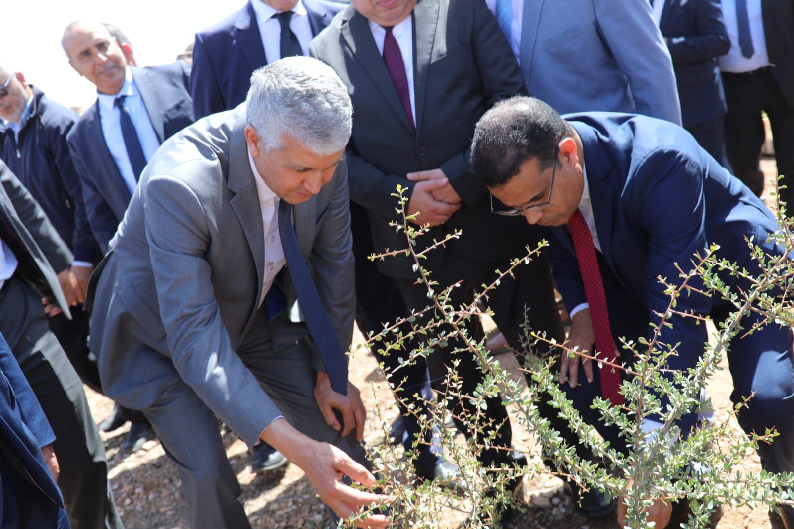 زيارة عدة مشاريع بالصويرة