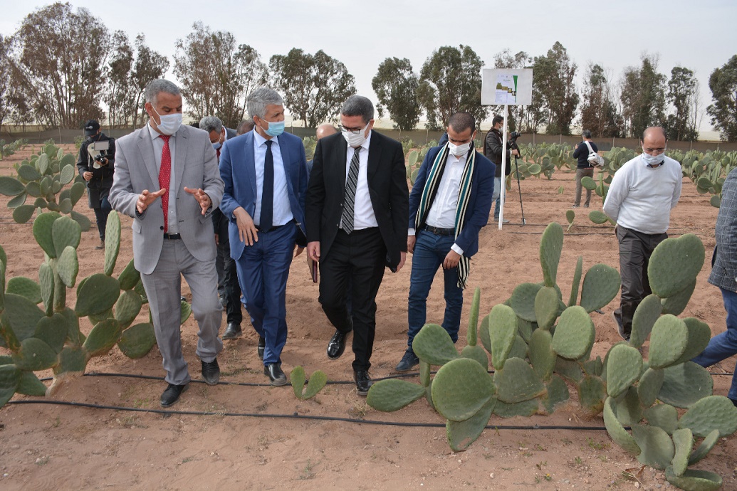 Chtouka Ait-Baha : Visite et lancement de plusieurs projets