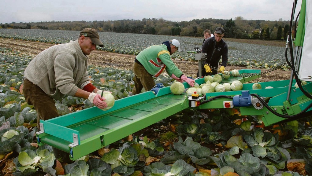 Le Maroc autorise l’envoi de plus de 200 saisonniers agricoles en Italie