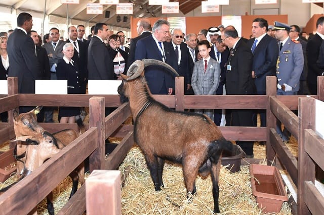 Le Prince Moulay El Hassan a présidé l&rsquo;ouverture de la 11eme édition du SIAM