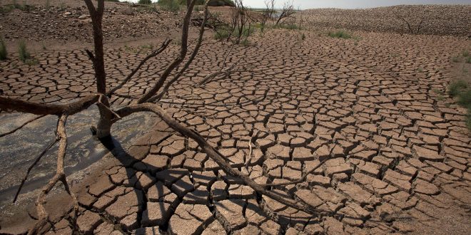 Maroc : les investissements pour le climat dépassent 111 MMDH