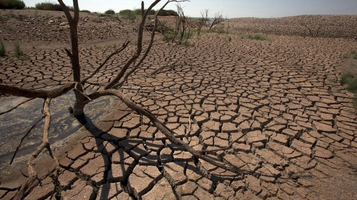 المعهد الوطني للبحث الزراعي ينظم ندوة علمية حول التغيرات المناخية ومقاومة الفلاحة للجفاف
