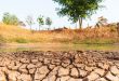 Gestion du stress abiotique dans les cultures horticoles