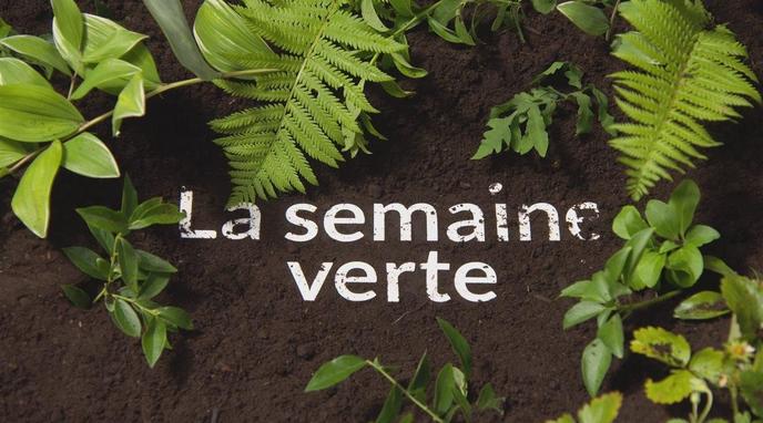Semaine verte 2020 : La protection de l&rsquo;environnement, une priorité pour le Maroc
