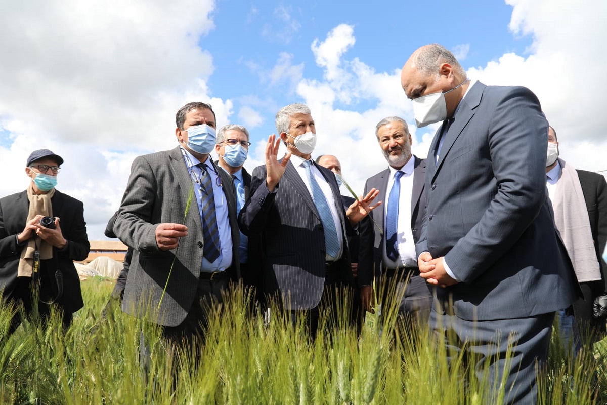 Meknès : Plusieurs projets suivis dont le programme de semis direct pour la campagne agricole 2021-2022