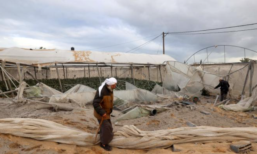 57% des terres agricoles détruites à Gaza
