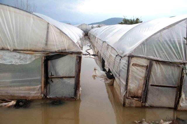 En Turquie, les agriculteurs subissent d&rsquo;importantes pertes suite à des inondations