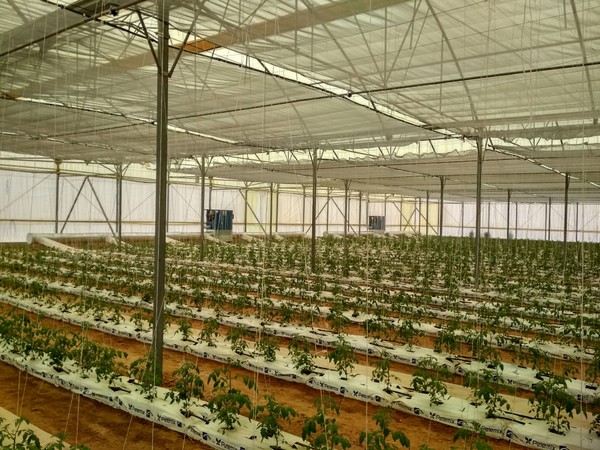 Un super partenariat agricole signé entre le Maroc et la Chine !