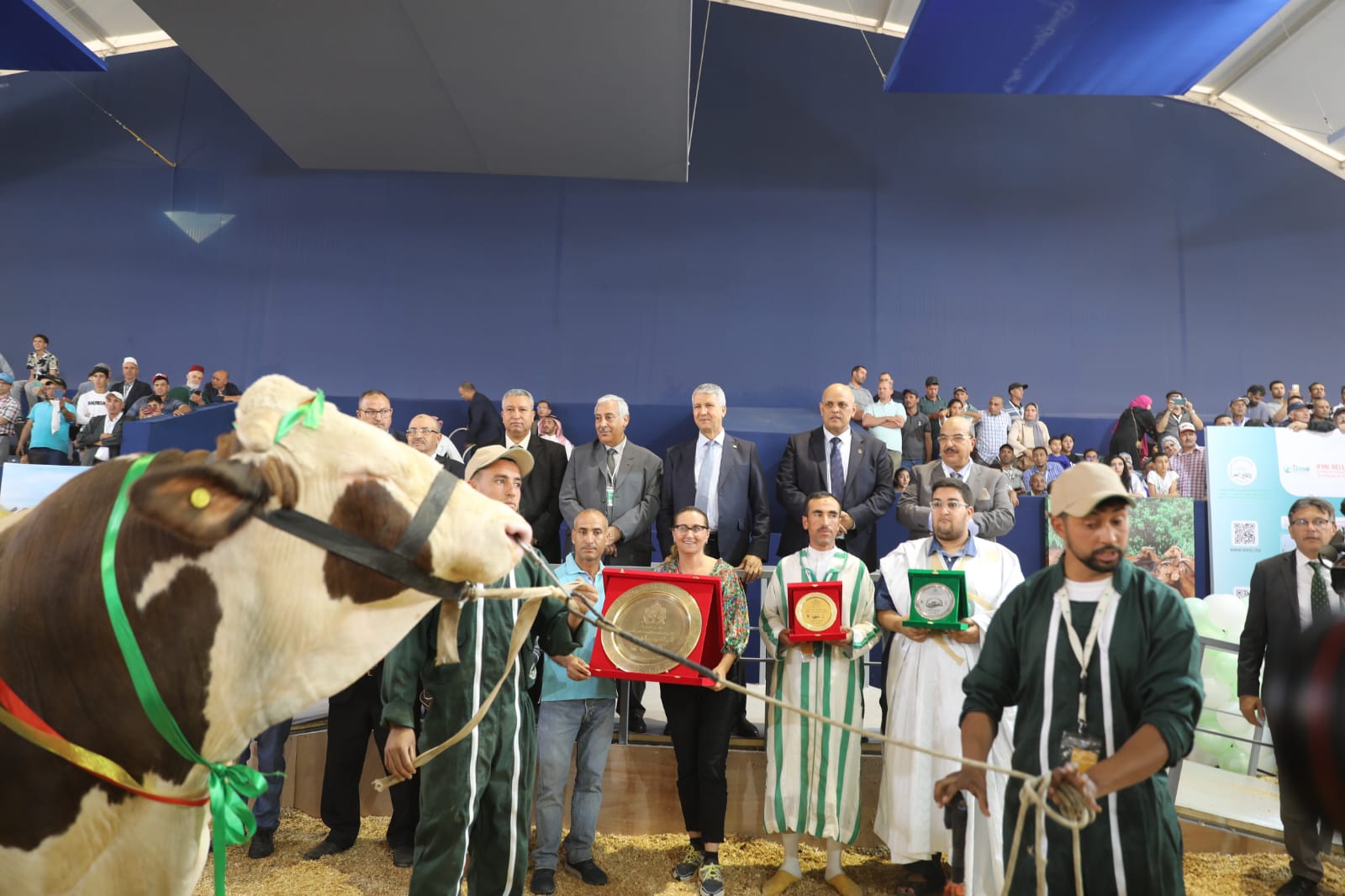 SIAM 2023 : Les éleveurs marocains récompensés lors du concours de sélection des meilleurs animaux