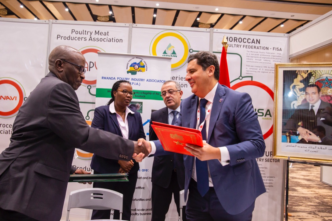 Le Maroc à l&rsquo;honneur au Salon Poultry Africa 2019