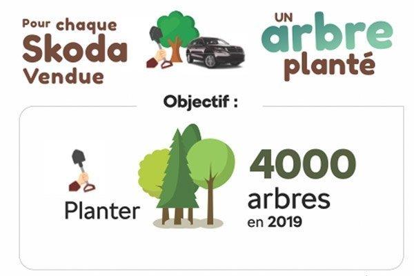Un arbre planté à chaque voiture vendue