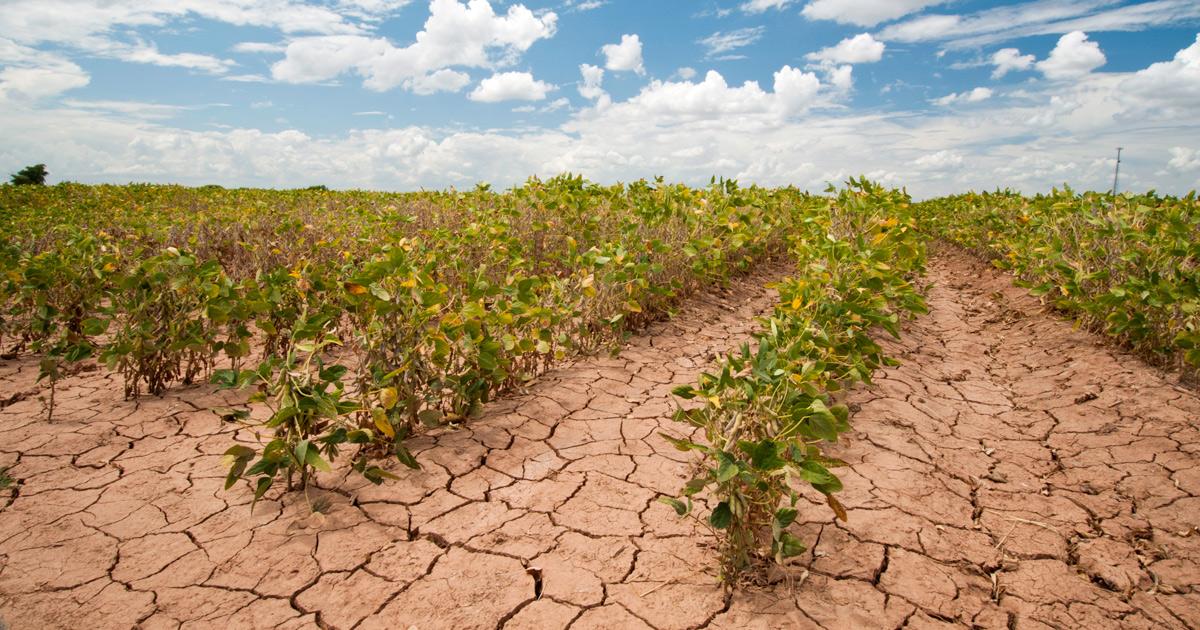 L&rsquo;INRA organise un séminaire le 13 juillet 2021 à Meknès