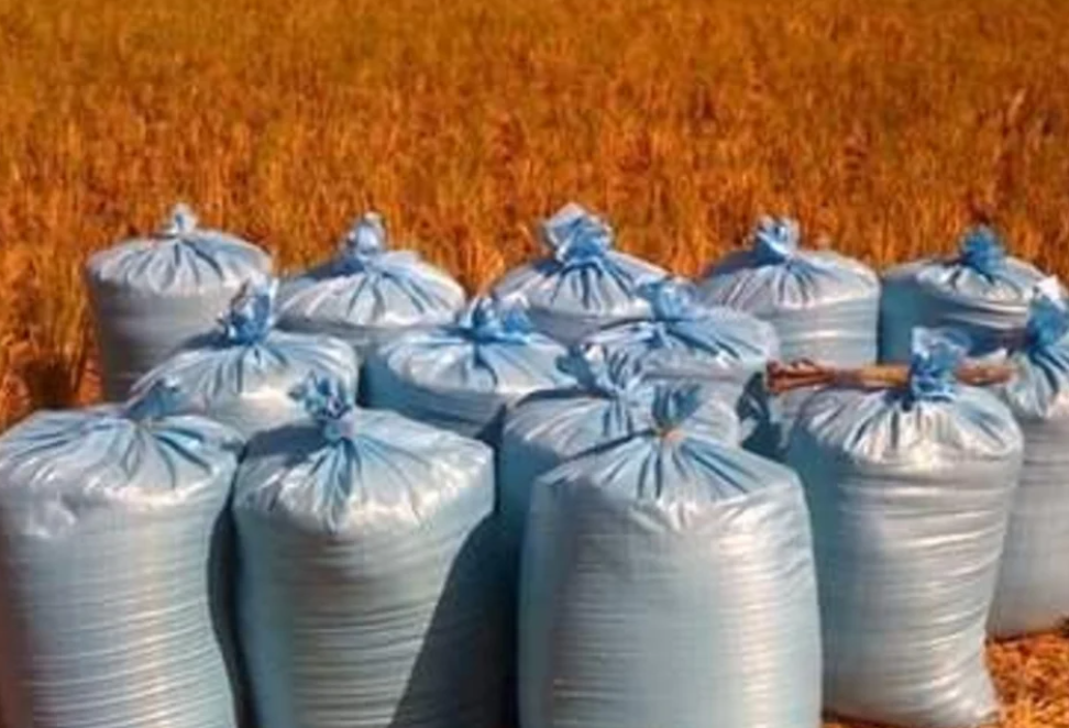 Les défis du stockage agricole en Afrique