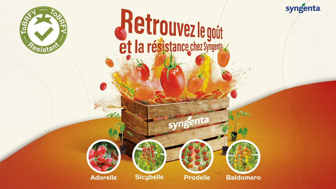 Les acteurs de l’agriculture se réunissent chez Syngenta pour redécouvrir le Goût et la Résistance avec les Nouvelles Tomates Syngenta Semences