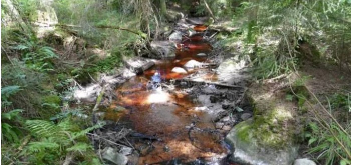 Les déchets des usines de trituration d&rsquo;huile d&rsquo;olive posent problème à Béni Mellal