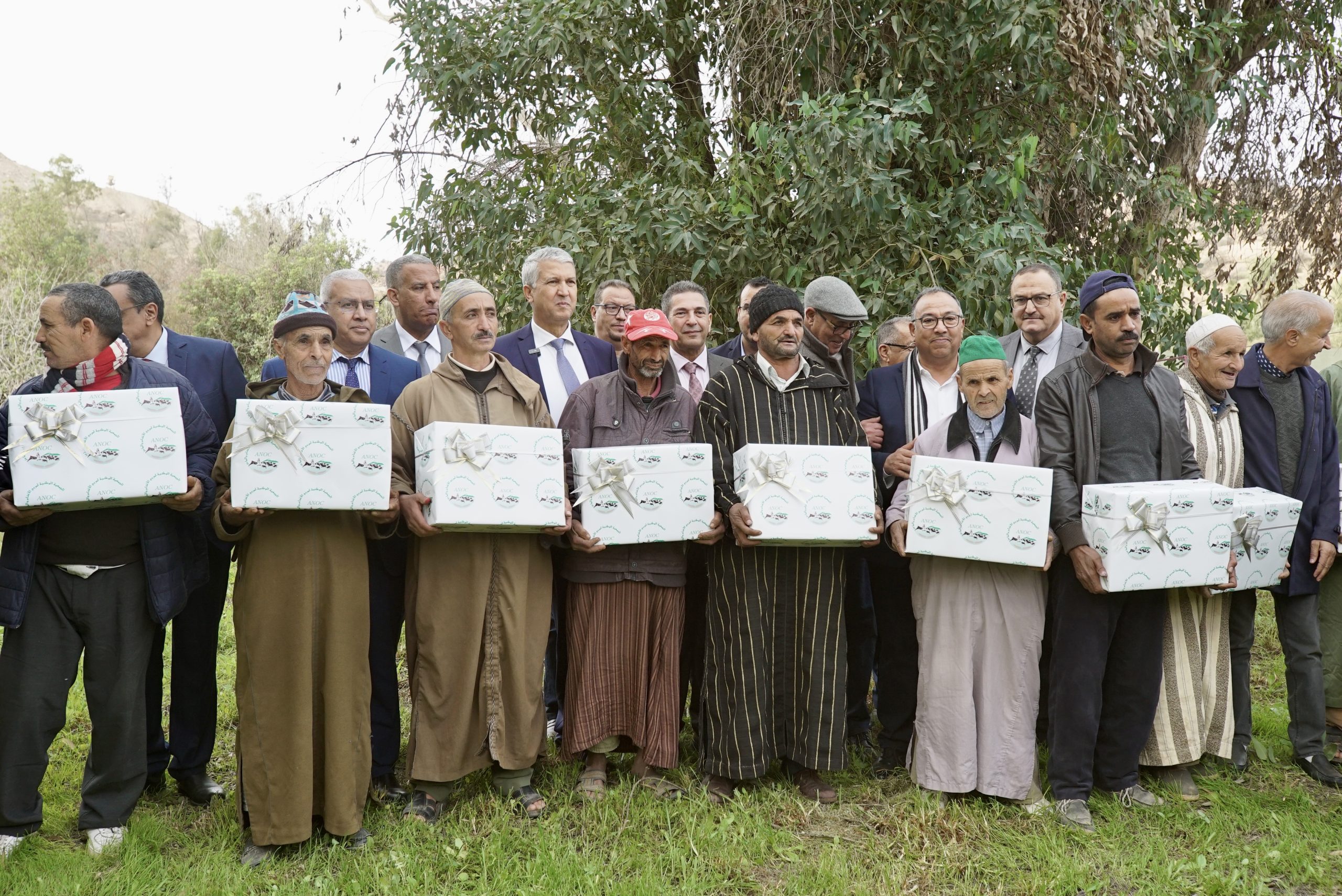 Réhabilitation et relance agricole dans la Province de Taroudant suite au séisme