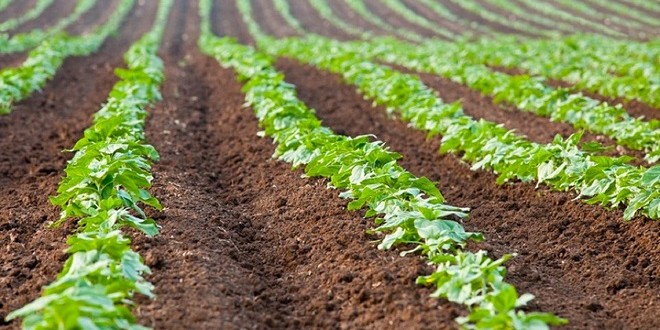 Terres-agricoles-Des-changements-majeurs-dans-l-attribution