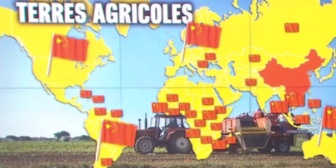 Vidéo: la Chine "l'empire des terres agricoles"