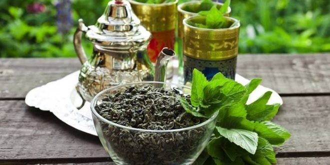 Le-Maroc-se-préparerait-il-à-cultiver-son-propre-thé