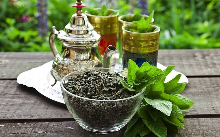 Le Maroc se préparerait-il à cultiver son propre thé ?