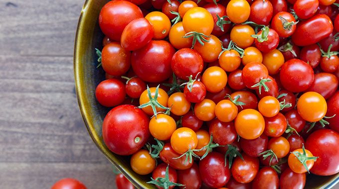 Youssef Alaoui dénonce l&rsquo;acharnement ciblant les tomates cerises