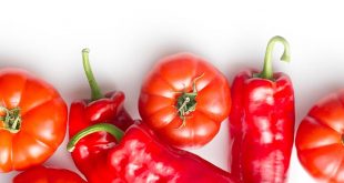 Espagne : Les agriculteurs abandonnent les tomates pour les poivrons
