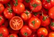 La Russie prévoit augmenter le quota importation de tomates turques