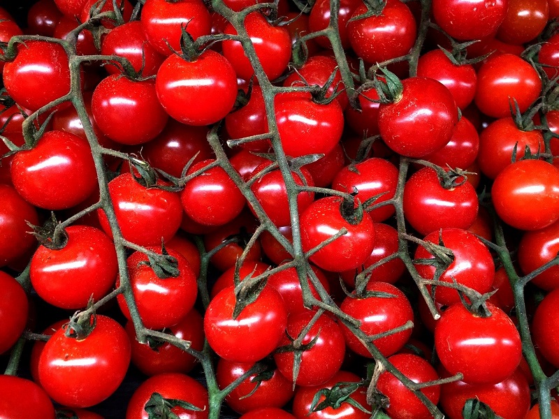 Des tomates cerises cultivées sur sol alcalin