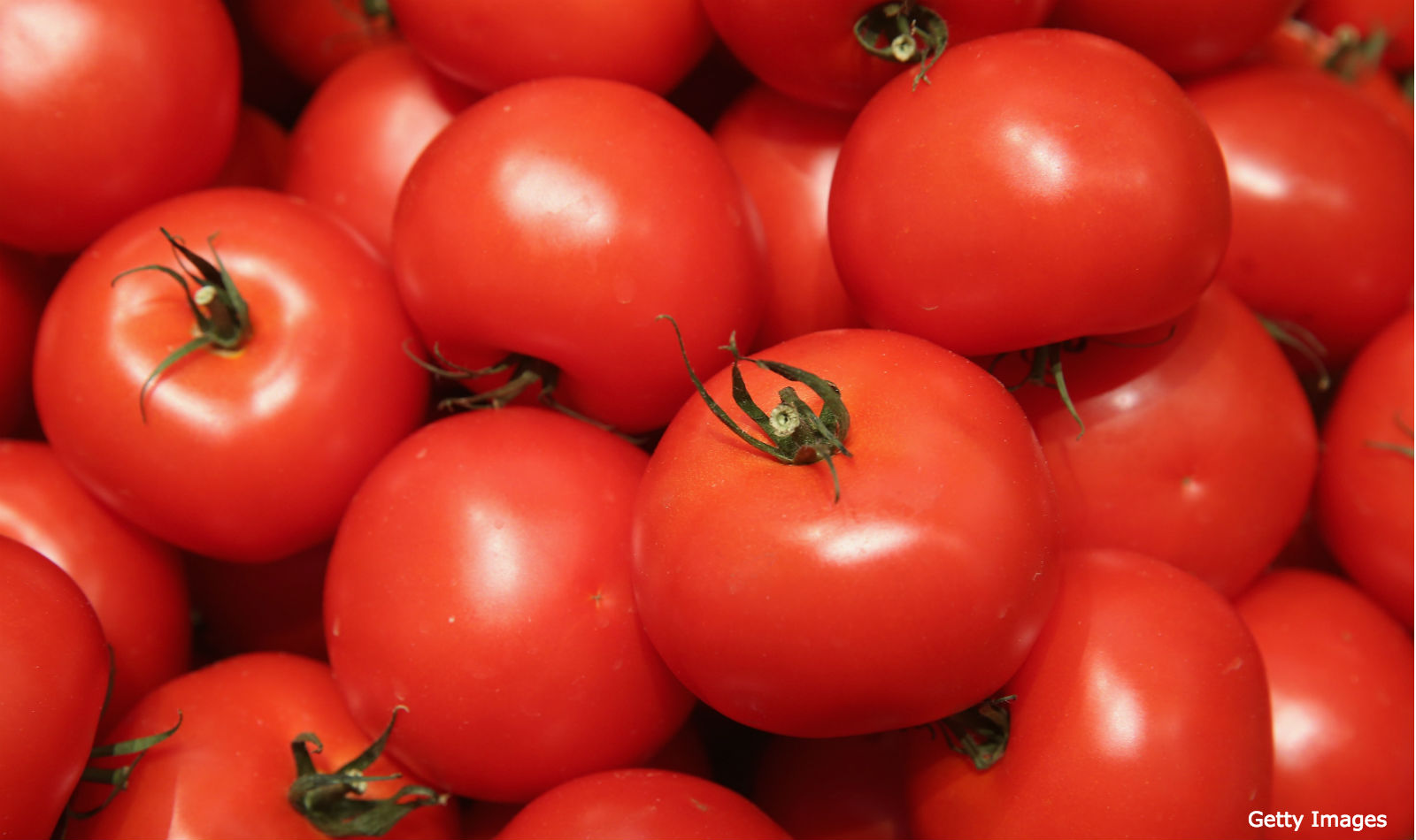Les tomates marocaines étiquetées espagnoles dans le viseur