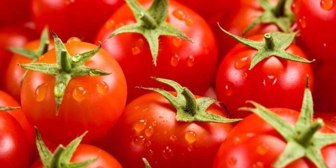 La fertilisation pour améliorer la couleur des tomates