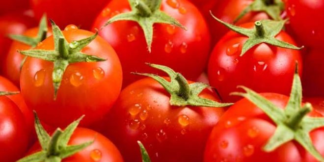 Tomates-La-Turquie-demande-la-suppression-complète-du-quota-russe
