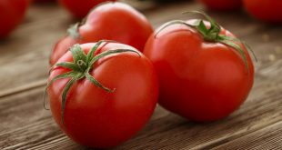 Tomates hausse de 26,38% des ventes du Maroc vers UE