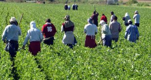 Fès-Meknès : Sensibilisation des agriculteurs au Covid-19