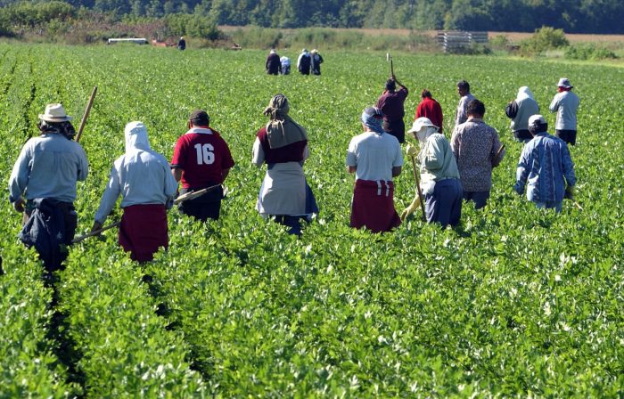 Fès-Meknès : Sensibilisation des agriculteurs au Covid-19
