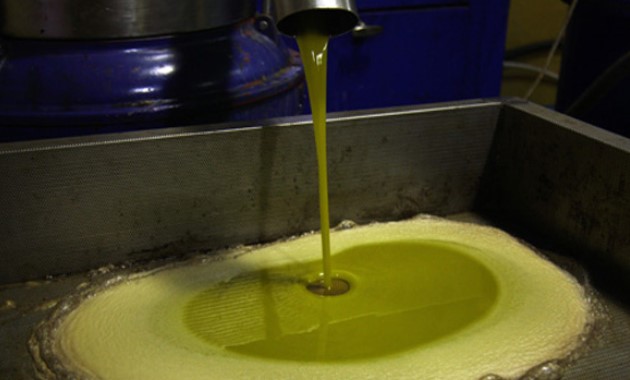 Oléiculture : Les producteurs marocains vers une récolte record de 200 000 tonnes
